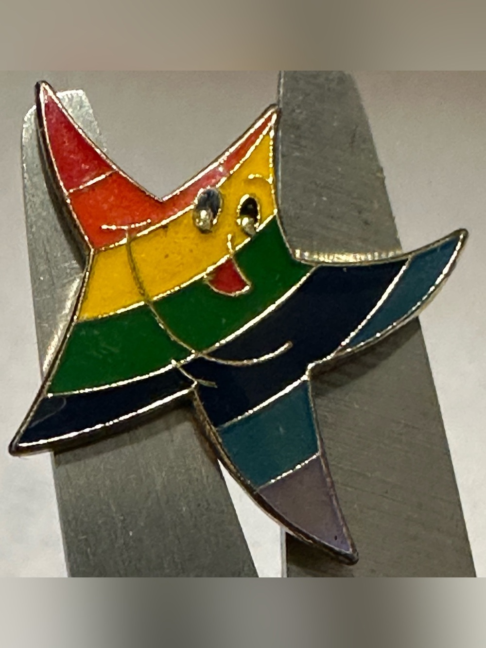 Rainbow Starfish Enamel Pin